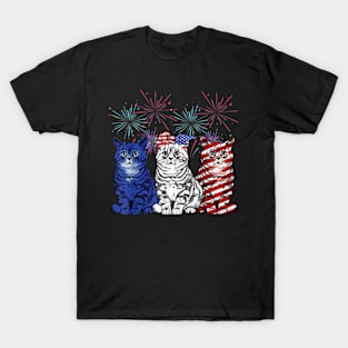 Funny Cats American Flag Patriotic 4th Of July T-Shirt